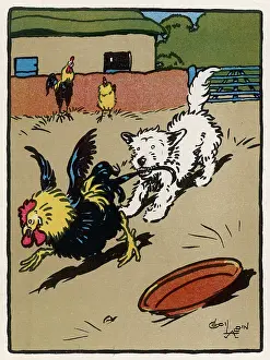 Cocks: Towser the dog attacks the poultry