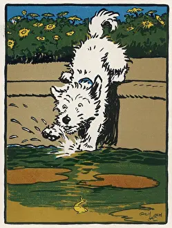 Goldfish: Towser the dog decides to go fishing