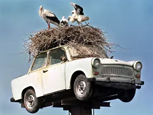 Turm: Trabant as stork's nest