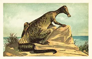 F. John: Trachodon mirabilis, extinct hadrosaurad dinosaur