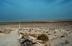 Scrub: Track to Arabia's interior