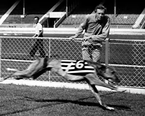 Britains: Track Athlete Brian Hewson 1933 -