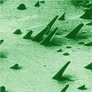 Detector: Tracks from cosmic rays, magnified 800 times