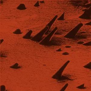 Detector: Tracks from cosmic rays, magnified 800 times