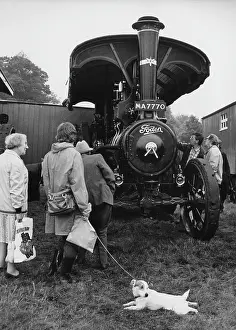 Astle: Traction Engine Rally, Astle Park, Cheshire
