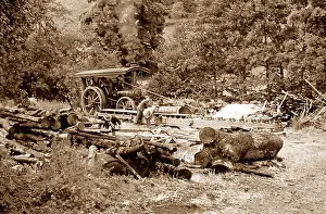 Sawmill: Traction engine at a sawmill
