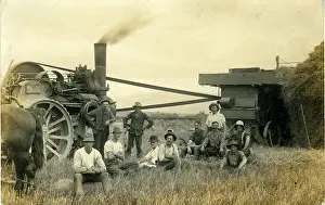 Threshing: Traction Engine & Threshing Machine, New Zealand