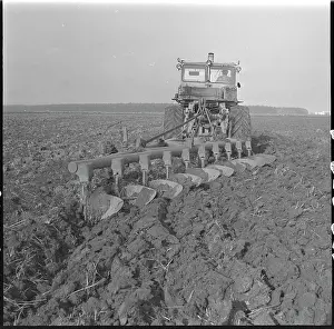 Gajdusek: Tractor, Kirovec K-710, plough, 10-row plough