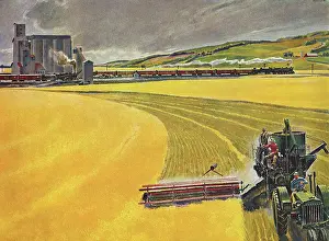Husbandry: Tractor Plowing Field