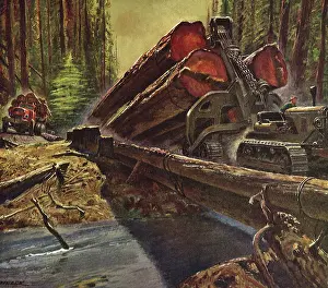 Logs: Tractor pulls Logs over Makeshift Bridge