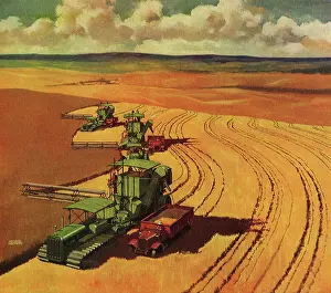 Wheatfield: Tractors in Wheatfield