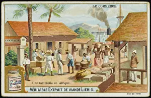 Anyone: Trade, Africa