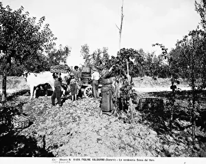 Valdarno: Trade and Industry