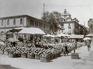 Watermelons: Trade and Industry