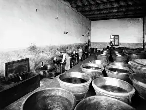 Ricasoli: Trade and Industry
