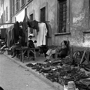 Senigallia: Trade and Industry