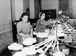 Meridionale: Trade and Industry