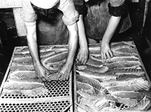Grills: Trade and Industry