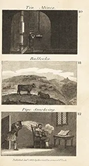 Unfurling: Trades in Regency England. Tin mines, bullocks and