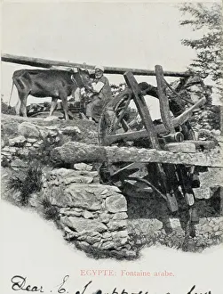 Irrigate: Traditional Egyptian water wheel