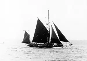 Pinta: Traditional fishing trawler, Torbay, Devon
