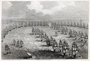 Fleets: TRAFALGAR, BIRD'S EYE