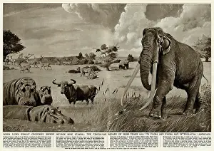 Neave: The Trafalgar Square of 100, 000 years ago