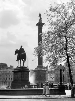 Stirrups: TRAFALGAR SQUARE