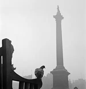 Midground: Trafalgar Square