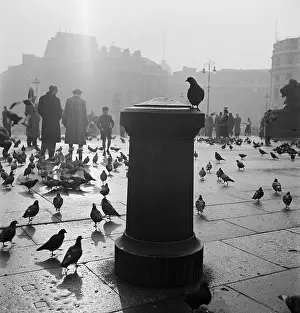 Pedestrianised: Trafalgar Square