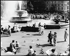 Pigeons: TRAFALGAR SQUARE