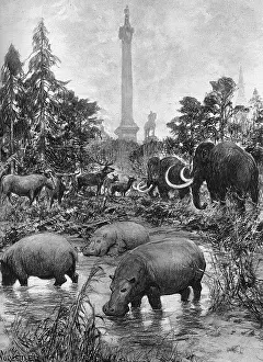 Mammoths: Trafalgar Square in the Ice Age