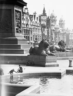 Overshadowed: TRAFALGAR SQUARE LIONS