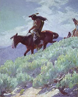 Foothills: Trail in the Foothills