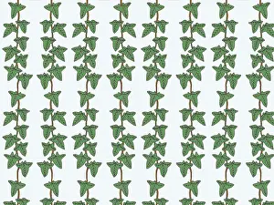 Tess Hines Designs: Trailing ivy repeating pattern