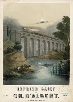 Galop: Train crossing a viaduct in the twilight