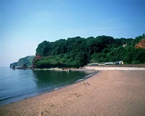 Coryton: Train passing through Coryton Cove, Dawlish, Devon