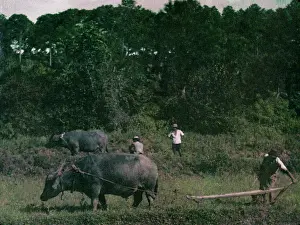 Prevalent: on train to Sin Taung - Kalaw