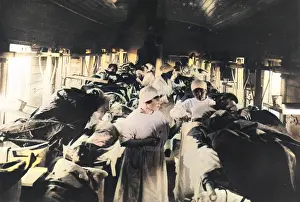 Caring: Train Transporting Typhoid Sufferers