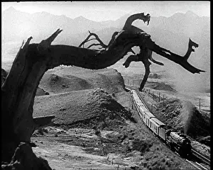 Prairie: A Train Travelling Through the Prairie And