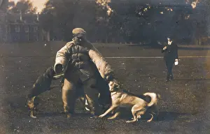 Padded: TRAINING DOG TO ATTACK