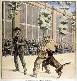 Unwelcome: TRAINING GUARD DOGS