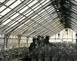 Conjunction: Training horticultural students, Royal Gardens, Windsor