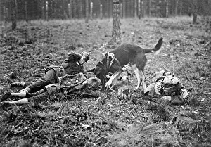 Someone: Training of medic dogs, 1914