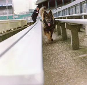 Suspicious: Training a police dog