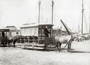 Barbados: Tram Car, Bridgetown, Barbados, West Indies, circa 1900
