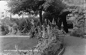 Pathway: Tranquil Garden Pathway