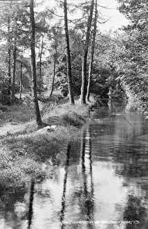 Newland: Tranquil River Scene at Newland