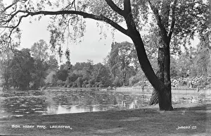 Leicestershire: Tranquil Scene at Abbey Park