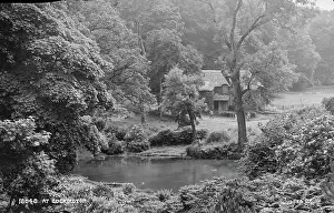 Cockington: Tranquil Scene at Cockington